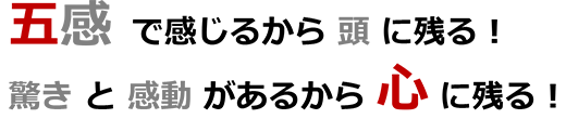 五感で感じるから頭に残る！驚きと感動があるから心に残る！