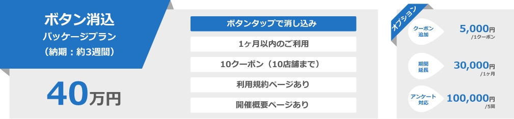 ボタン消込パッケージプラン（納期：約3週間）40万円