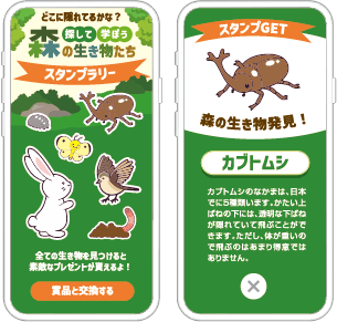 森の中に隠れている生き物を探して自然を学ぼう！スタンプラリー