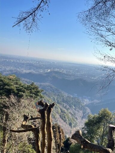 【スタンプラリー体験レポート】たまにじ本音旅スタンプラリー